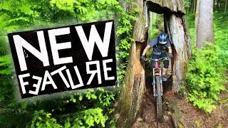 These Trails Are TIGHT