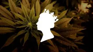 NiteLife - I AM SO HIGH .recs Exclusive mix 0.1