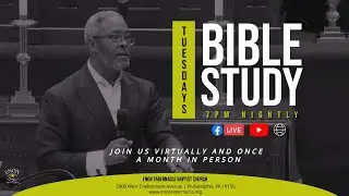 Bible Study