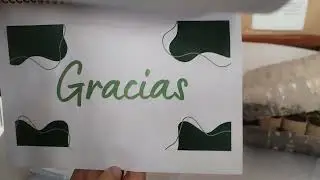 ALMACIGO FUERA DE ESTACI&Oacute;N 