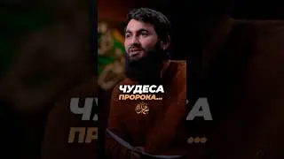 Лживые чудеса связанные с рождением Пророка (ﷺ)...  Юсуф Берхудар