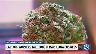 MORNING BUSINESS REPORT: Wells Fargo settlement, Facebook stock, pot jobs