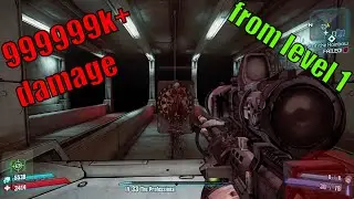 Infinite damage forever (Borderlands 2 tips tricks and glitches)