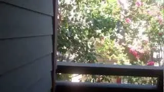 Mill Creek Apartments - Milpitas -  Thoreau - 1 Bedroom