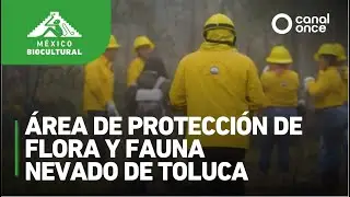 México biocultural - Área de Protección de Flora y Fauna Nevado de Toluca (03/03/2025)