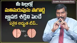 Gampa Nageswer Rao : Memory Improve Tips Telugu | Memory Loss in Kids | Health Tips | Mr Nag