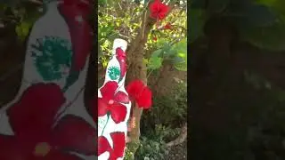 handmade bottles Art