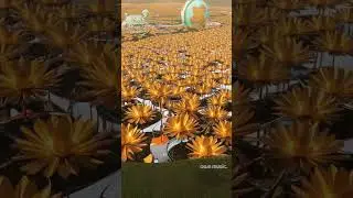 Retro Future World Timeless Music and Style | Retro Future Vibe