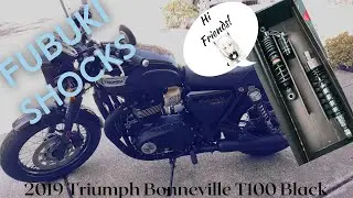 Triumph Bonneville T100 Black - Mystletainn Gets New Friend Shocks!