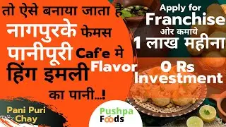 Hing Imali Flavor Panipuri In Nagpur | Kamyiye 1 Lakh Mahina Zero Investment Me kholiye Franchise