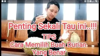 Penting.. Wajib Tau Tips Cara Memilih Durian Yang Benar Agar Tidak Zonk..!!!! Durian Indonesia 