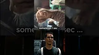 Super sad story💔 (cat passed away) #sad #shorts  #emotional #cat #animals