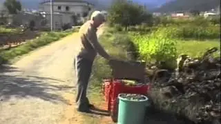 SARCONI  SI  RACCONTA  VENDEMMIA  1997