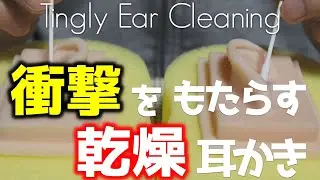 ASMR 入口はショリ、耳奥はジョリな乾燥奥行き耳かき Deep Ear Cleaning