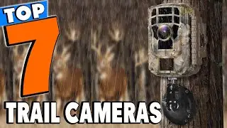 Top 5 Best Trail Cameras Review In 2026