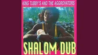 Feel Lost Dub