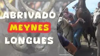 MEYNES Abrivado Longues 07-07-2024 🌞