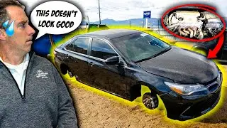 I bought a BIOHAZARD Toyota Camry from Copart for $3,500