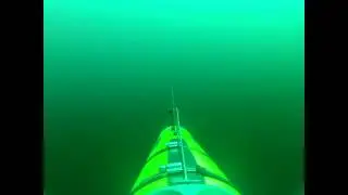 Bluefish following robot sub in Hudson Canyon, New Jersey