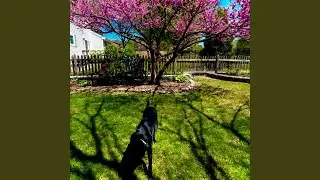 Enjoy The Little Things