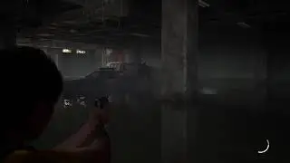 Ellie  The  last of us part II Custom performance practice run mods on no score no reticle practice