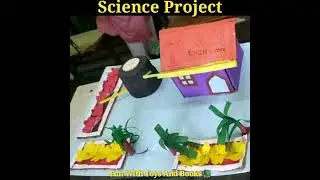Science Project World Water Day| Rain Water Harvesting| Science Project Model on Save Water #Shorts