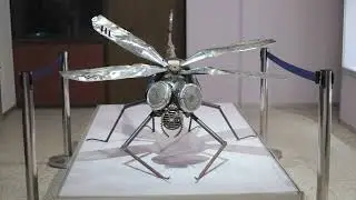 Waste to Art | Dragonfly | BITM | NCSM | MoC