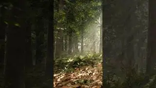 Relaxing Around Nature for Meditation, Spa, Calm mind✨🌿#relaxmind #peacefulmusic #viralshorts
