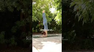Если ваша цель &mdash; стойка на предплечьях, практикуйте это.