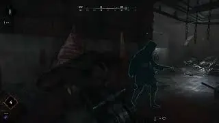 Funny Harpoon Launcher Tuesday (Hunt Showdown)