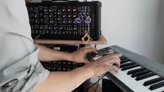 R1 NRSynth as a kink of Chick Corea Minimoog lead patch