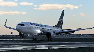 X-PLANE 12 | Windshear Windshear | Zibo 737-800 Landing | Yyc Calgary Intl | CYYC