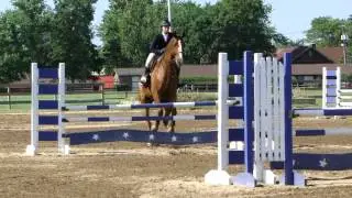 Winners Circle 3'6 Equitation Ryan  