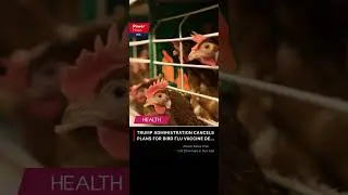 Trump administration cancels plans for bird flu vaccine development#vaccine #Moderna