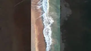 Chandipur Beach, Odisha | Hide & Seek Beach Of India | Vanishing Beach #shorts