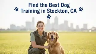 Find the Best Dog Training in Stockton   CA California