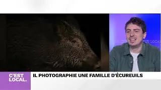 Il filme depuis plusieurs ann&eacute;es une famille d'&eacute;cureuils qui s'est install&eacute;e dans son jardin.