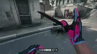 Rainwaker 1v4 clutch vs Entropiq in Pinnacle Cup II