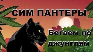 Симулятор Пантеры Wild Panther Sim 3D бегаем по джунглям