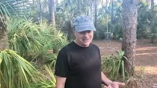 Palm Bay Disc Golf Course Round by Ivan Katz