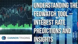Understanding the FedWatch Tool: Interest Rate Predictions and Insights