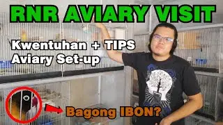 RnR AVIARY VISIT! 🐦 | MAY KAPARES NA YUNG GREEN PERSONATA NATIN!? 🤔😍 | WELLY'S TV VLOG #12