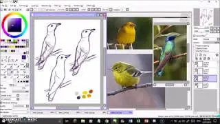 Yellow Bird - full length drawing session