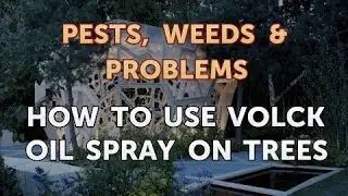 How to Use Volck Oil Spray on Trees