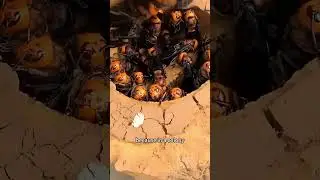 Never poke a wasp nest like this