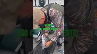 SOMETHING FOR OUR CATFISH FANS!!! #fishing #catfish #rod #reels #viral #trending #shorts #short #yt