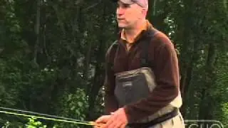 Tim Rajeff 