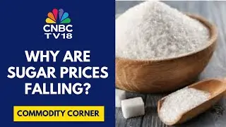 New York Sugar Hits 4-Year Low; London Prices At 2-Week Low As Raw & White Sugar Fall 4% Overnight