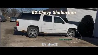 The Shuburban's first start/ eddy bitty drive in 4 years!!