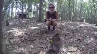 An Aussie couple travelling the world